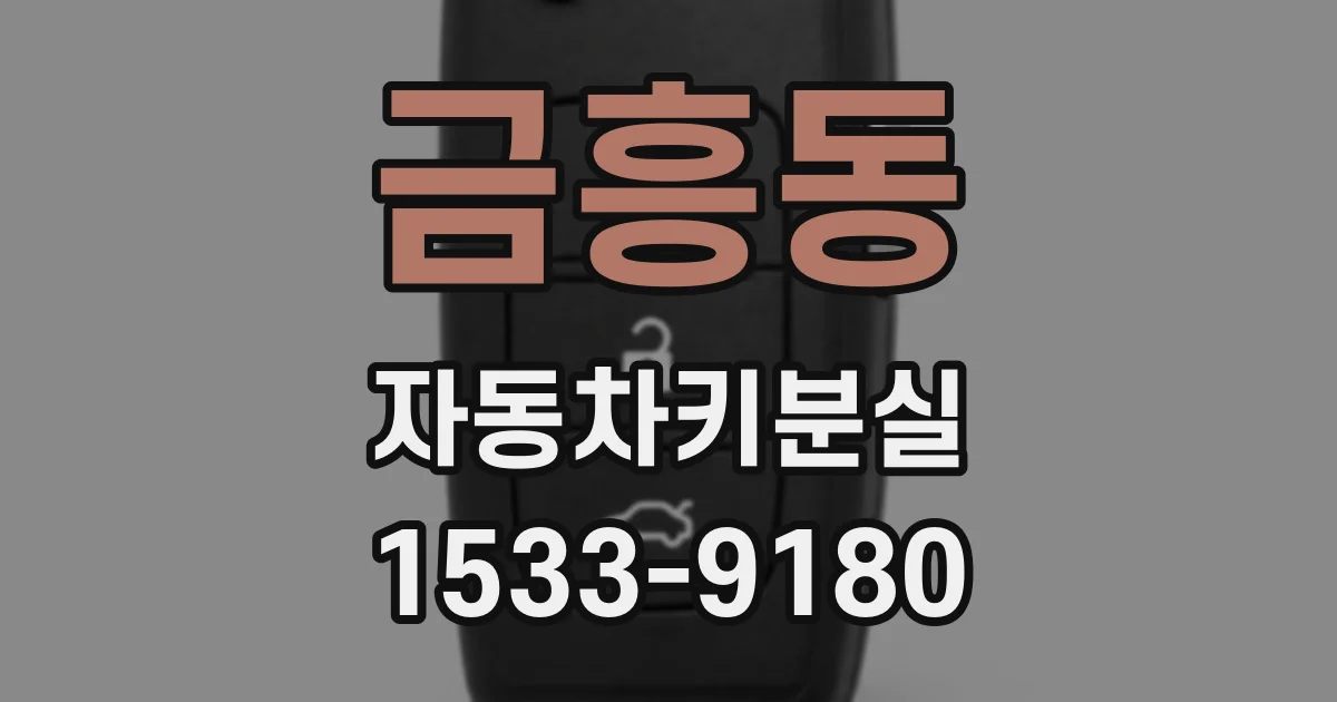 금흥동 자동차키분실