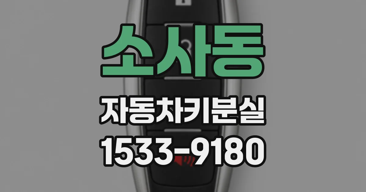 소사동 자동차키분실