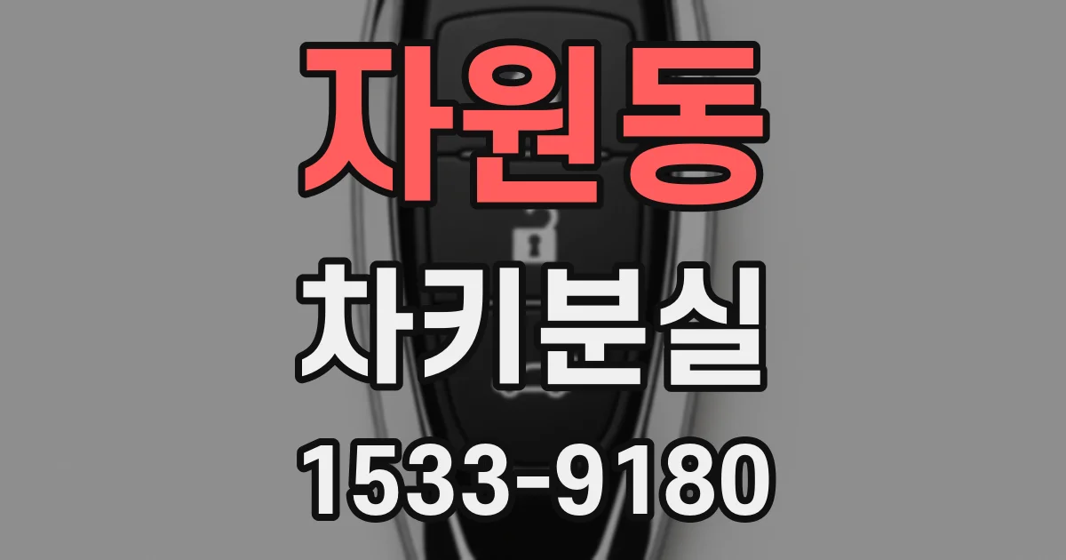 자원동 차키분실