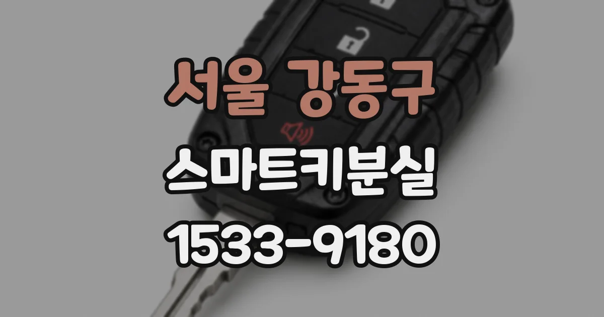 서울 강동구 스마트키분실