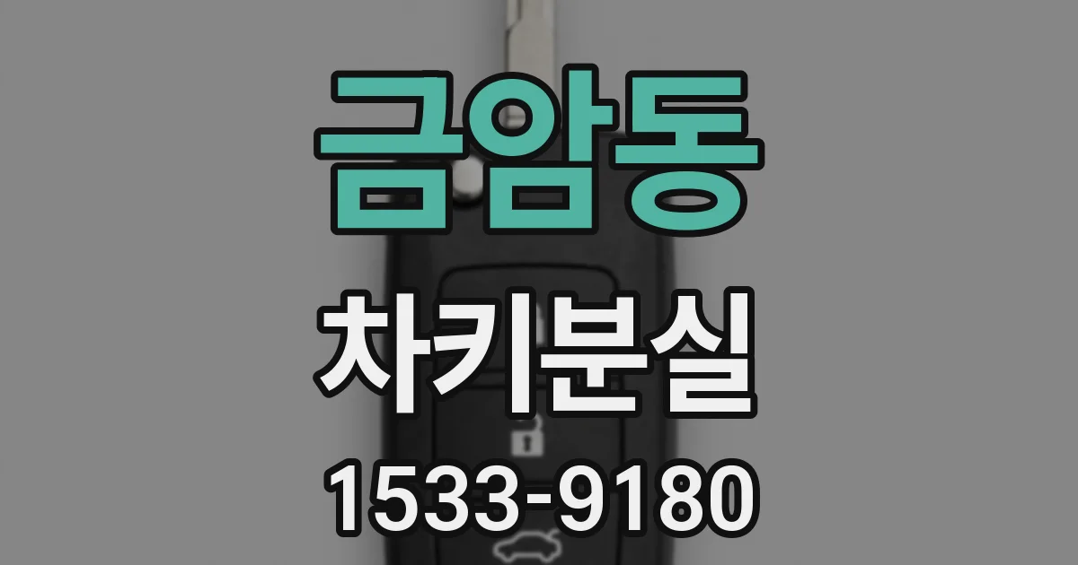 금암동 차키분실