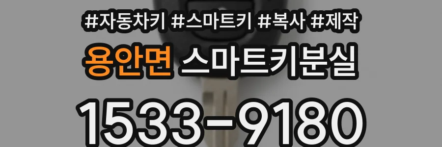 용안면 스마트키분실