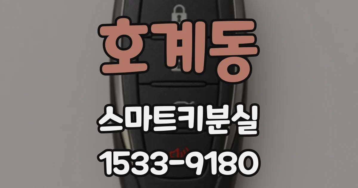 호계동 스마트키분실