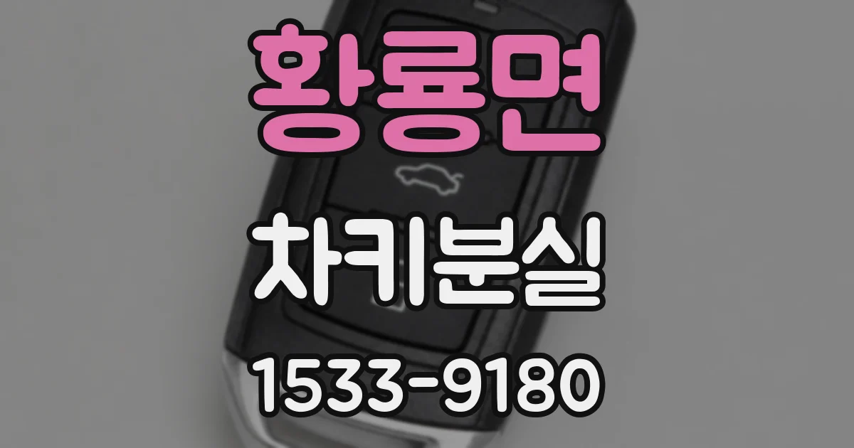 황룡면 차키분실