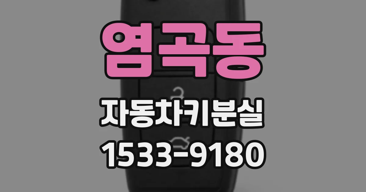 염곡동 자동차키분실