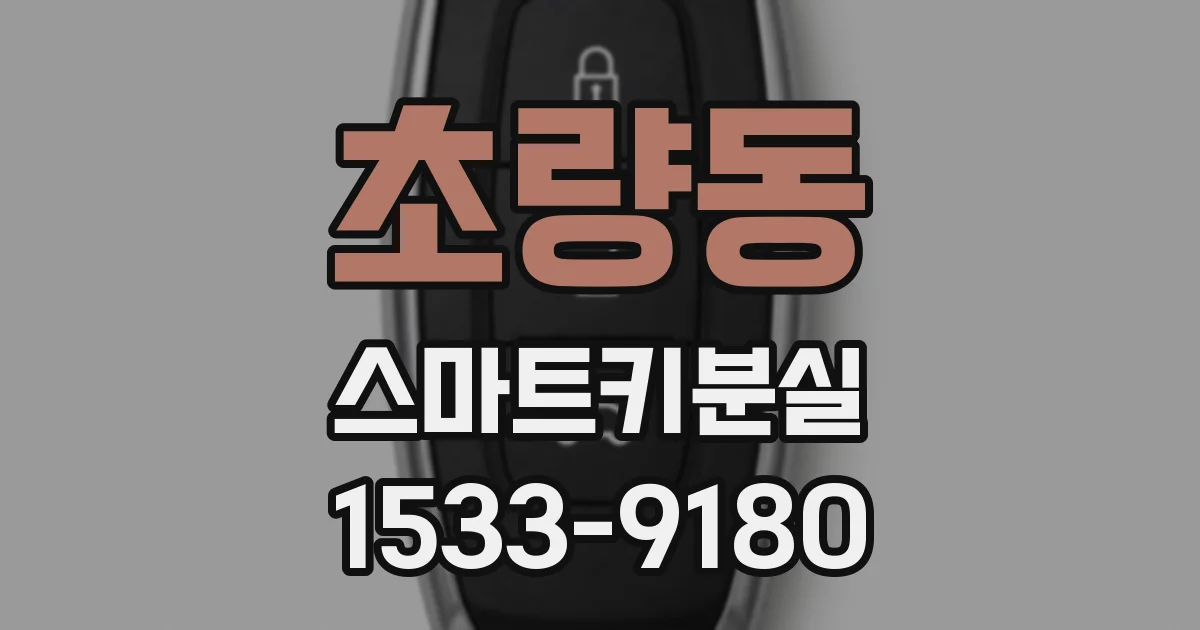 초량동 스마트키분실