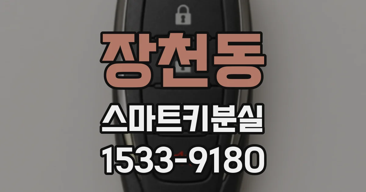 장천동 스마트키분실