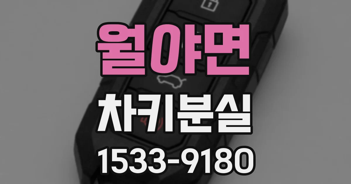 월야면 차키분실