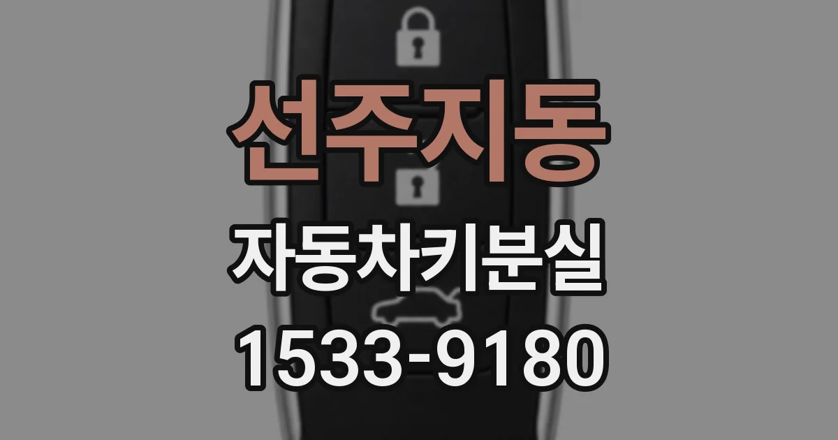 선주지동 자동차키분실