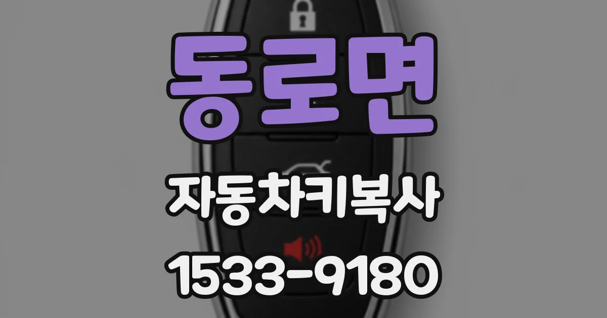 동로면 자동차키복사