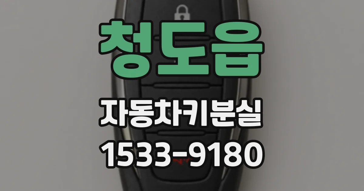 청도읍 자동차키분실