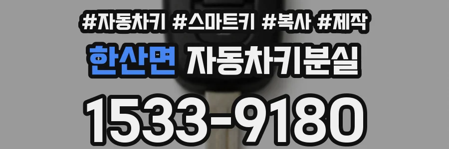 한산면 자동차키분실