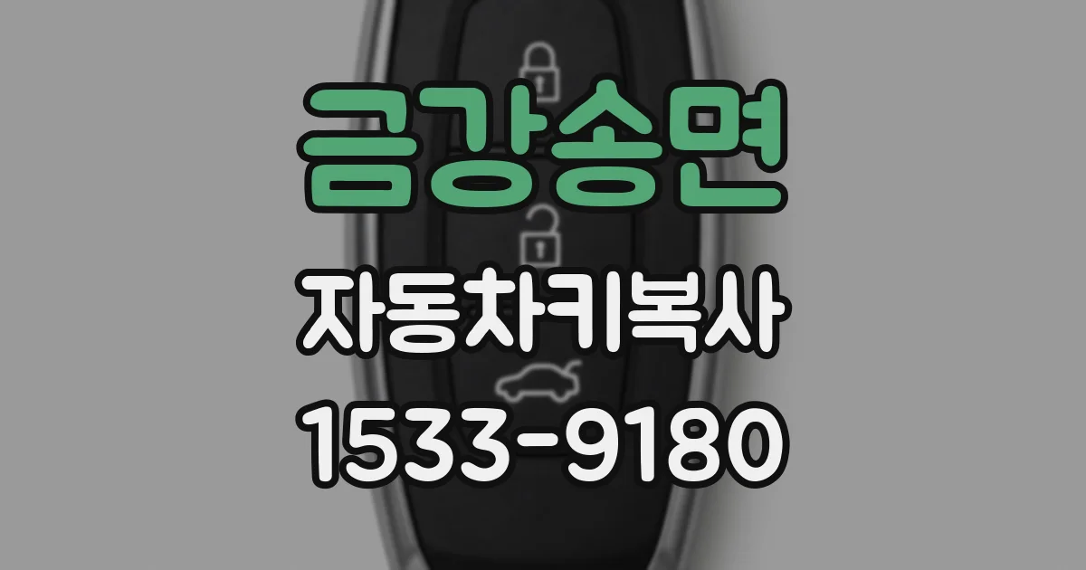 금강송면 자동차키복사