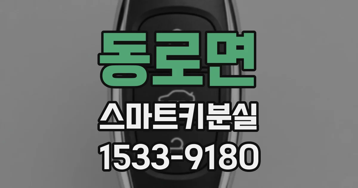 동로면 스마트키분실