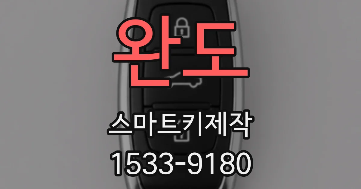 완도 스마트키제작