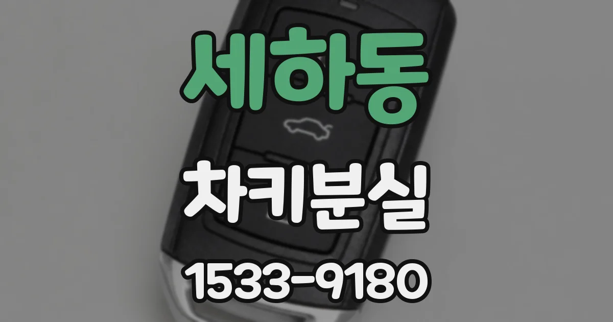 세하동 차키분실