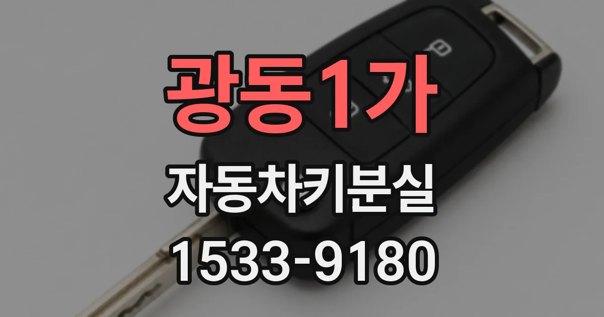 광동1가 자동차키분실