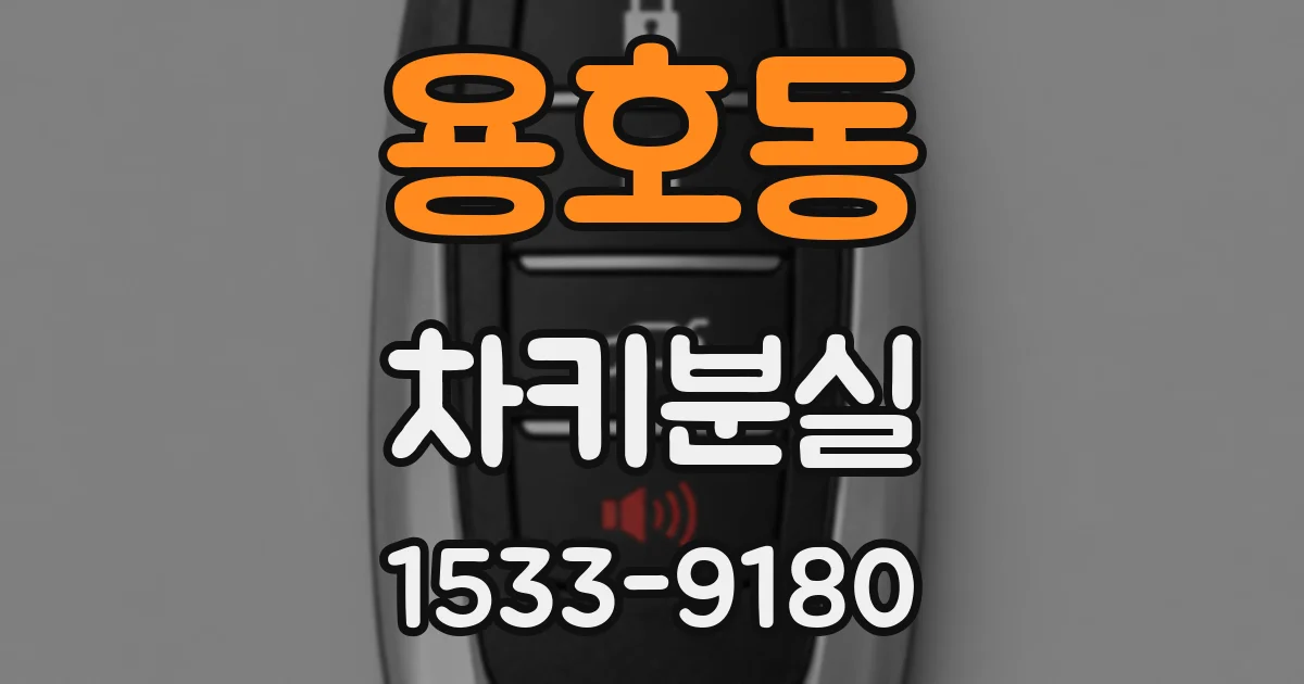 용호동 차키분실