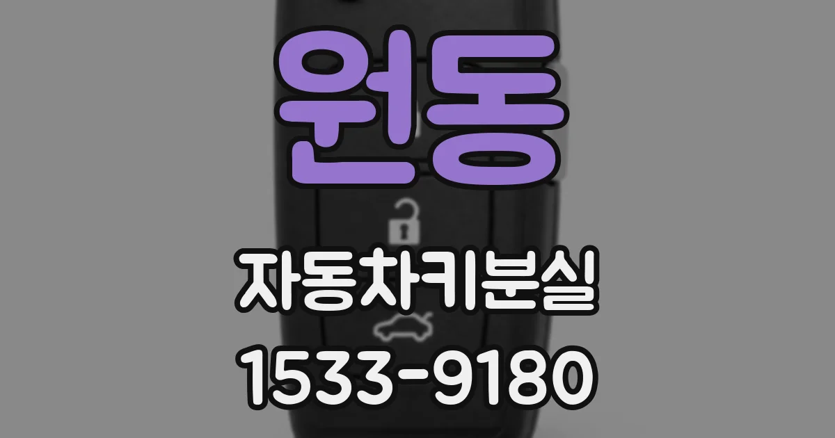 원동 자동차키분실