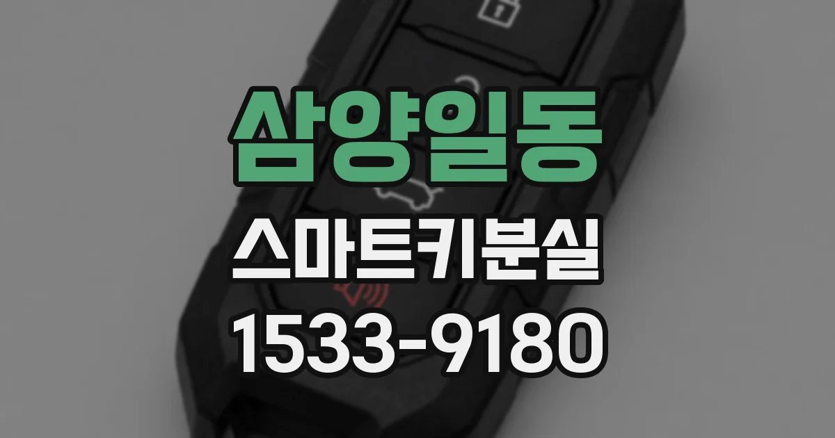 삼양일동 스마트키분실