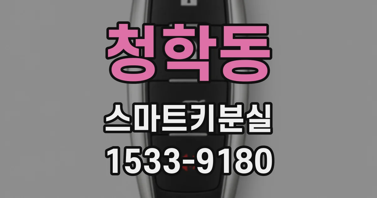 청학동 스마트키분실