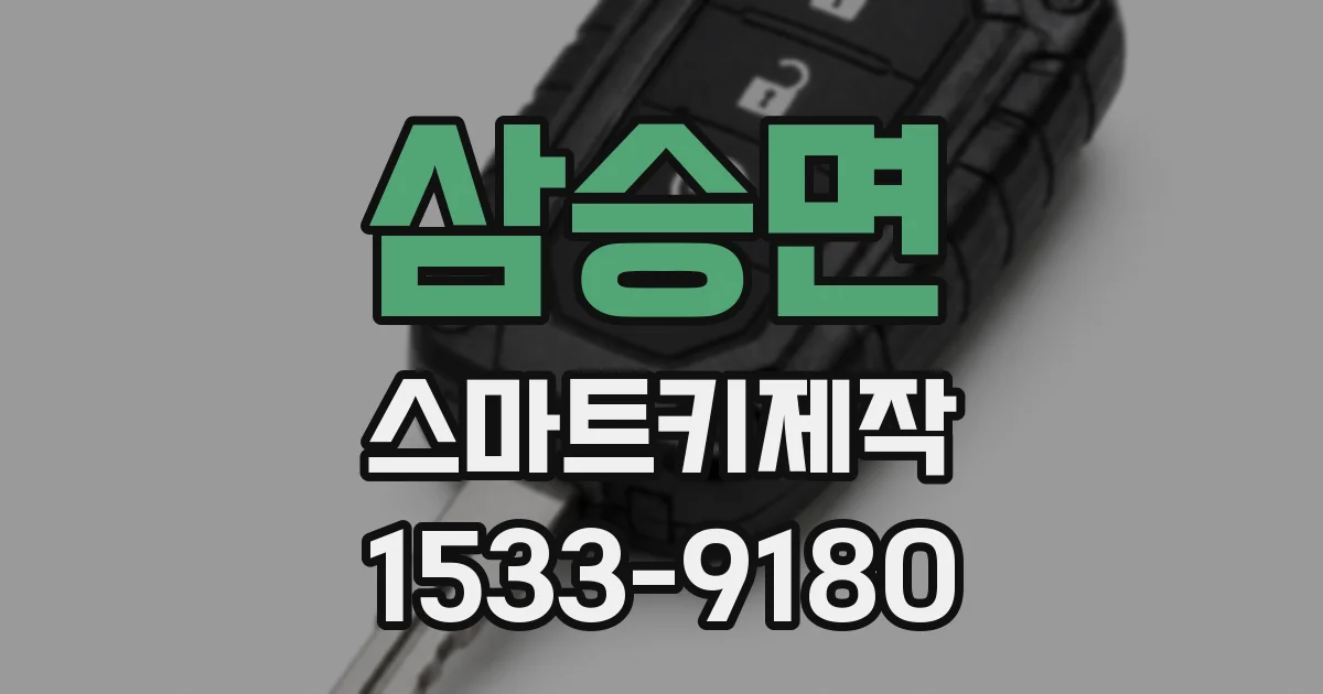 삼승면 스마트키제작