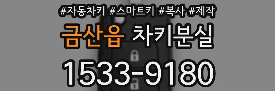 금산읍 차키분실
