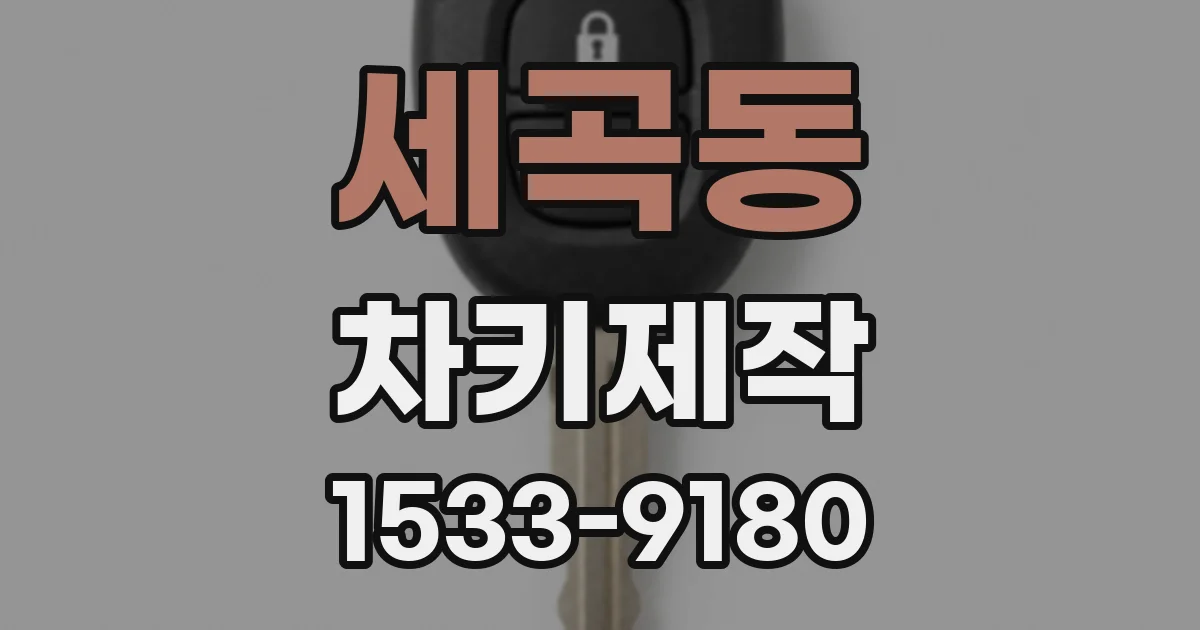세곡동 차키제작