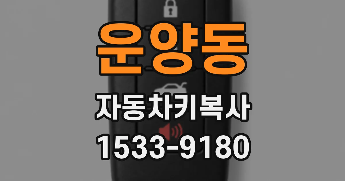 운양동 자동차키복사