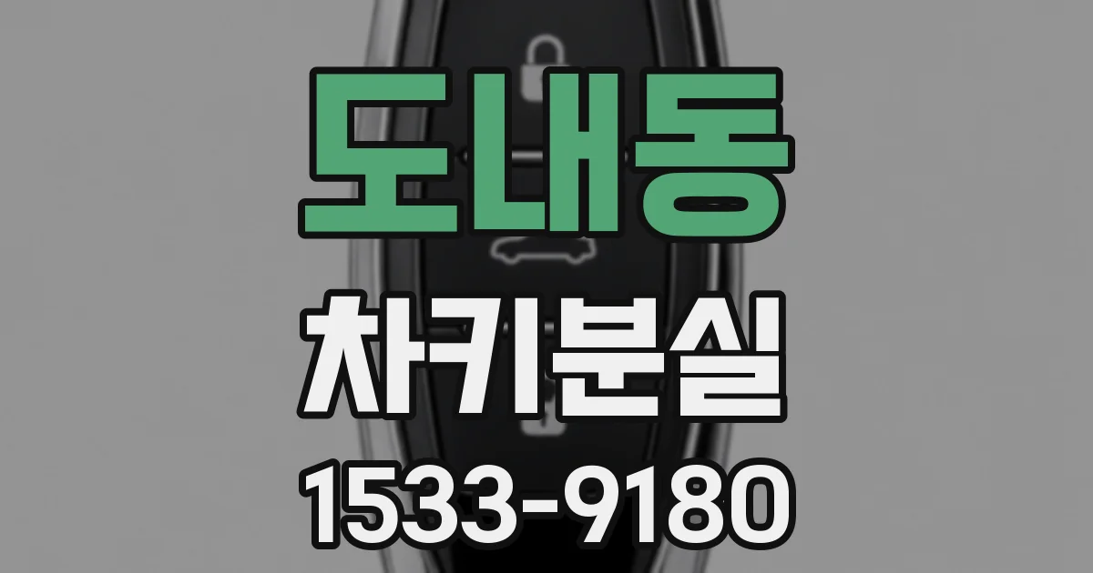 도내동 차키분실