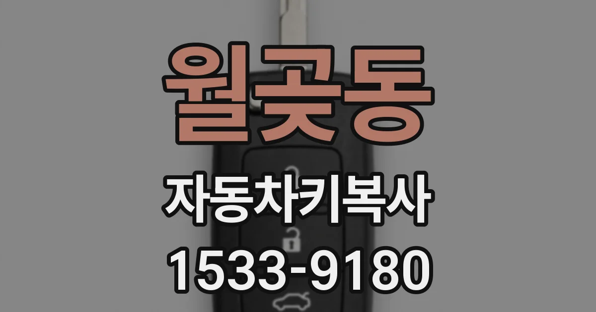 월곶동 자동차키복사