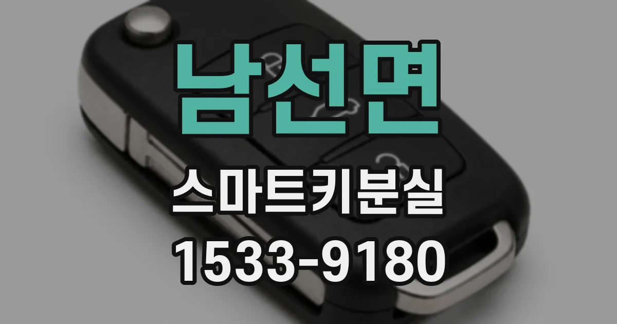 남선면 스마트키분실