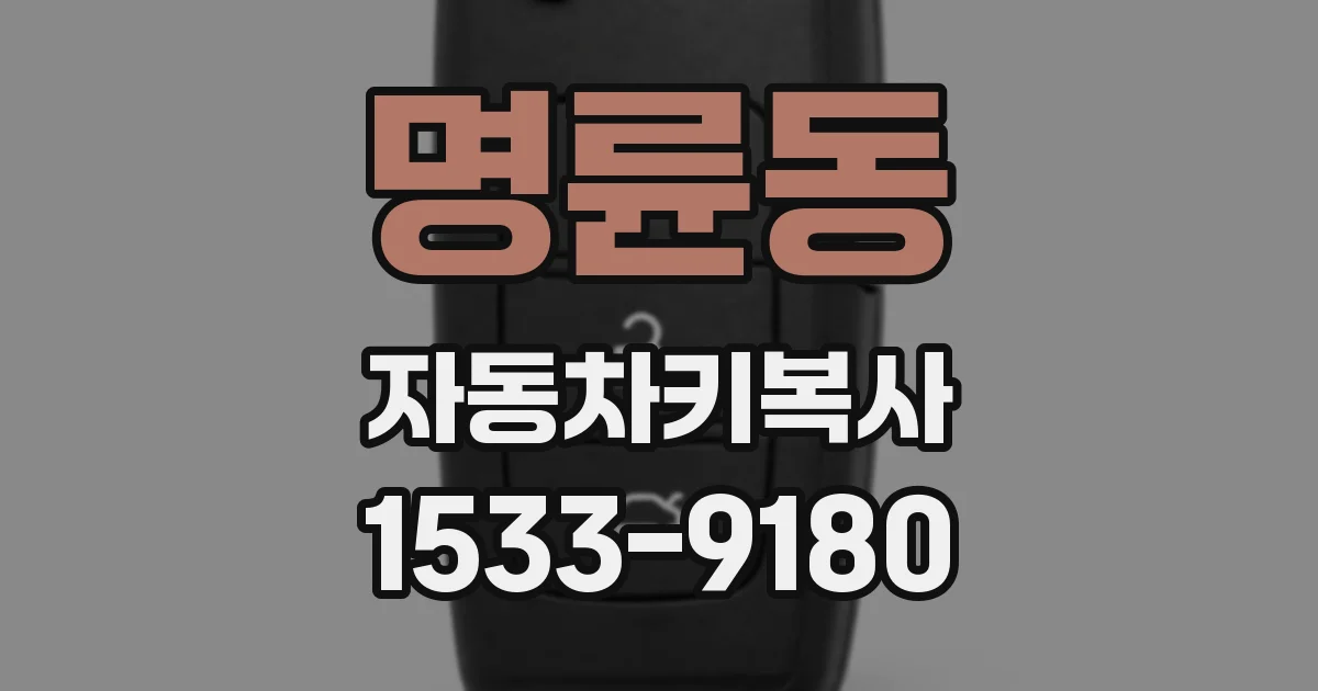 명륜동 자동차키복사