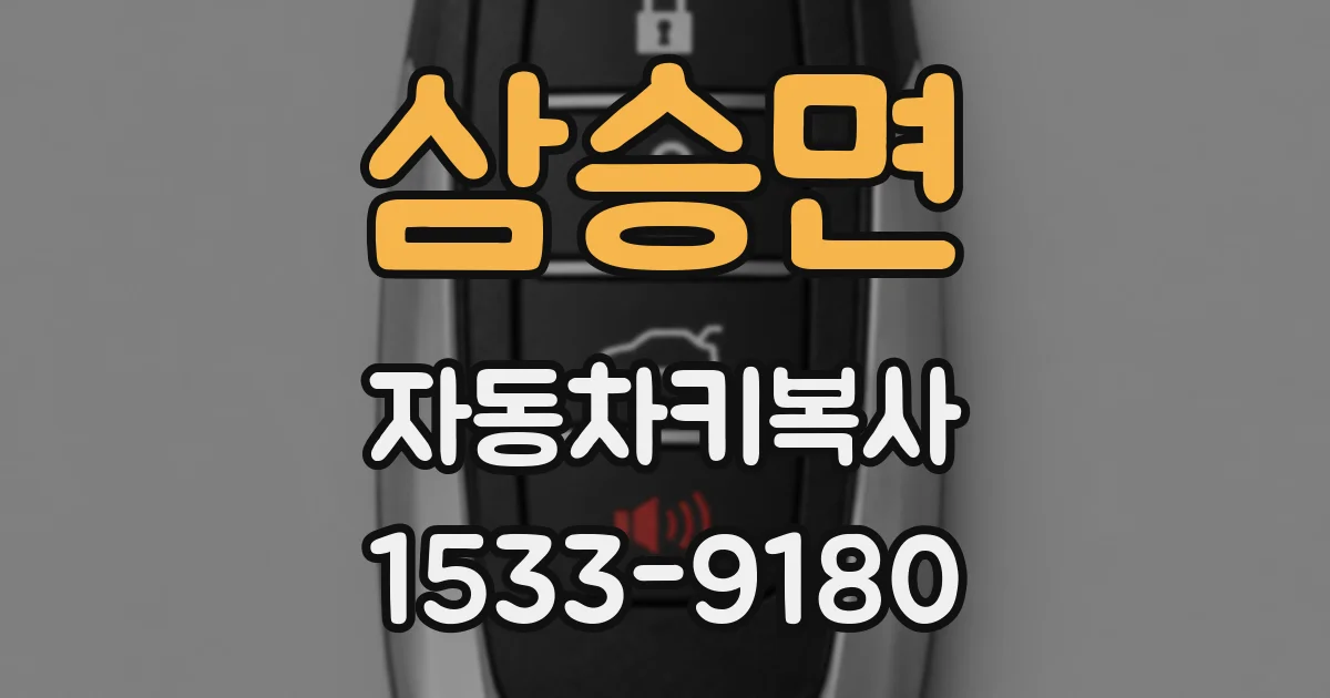 삼승면 자동차키복사