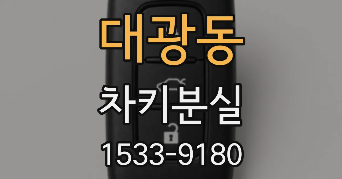 대광동 차키분실