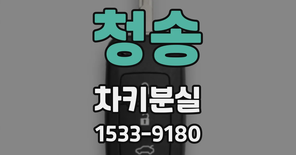 청송 차키분실