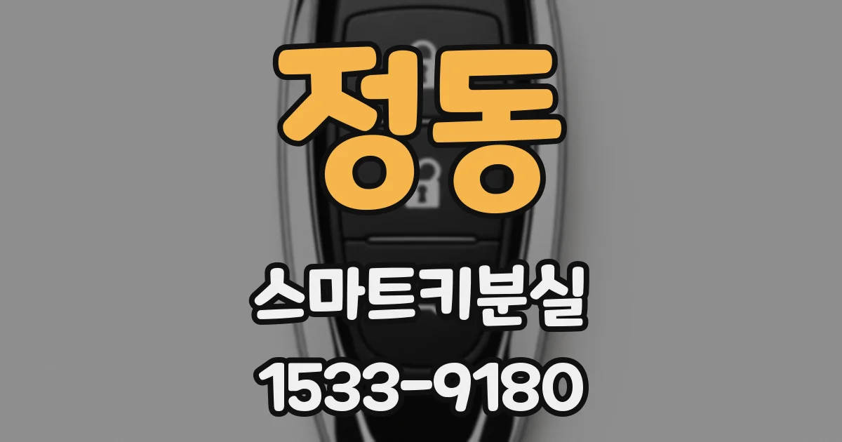 정동 스마트키분실