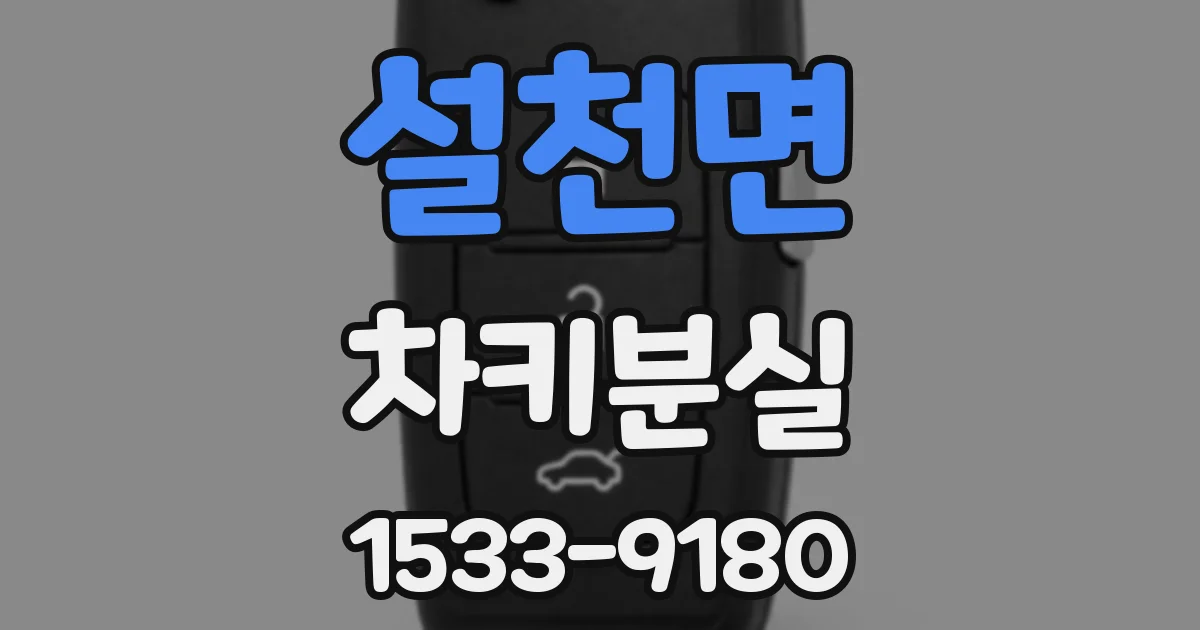 설천면 차키분실