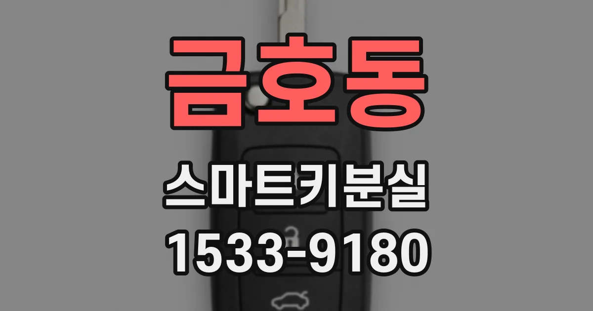 금호동 스마트키분실