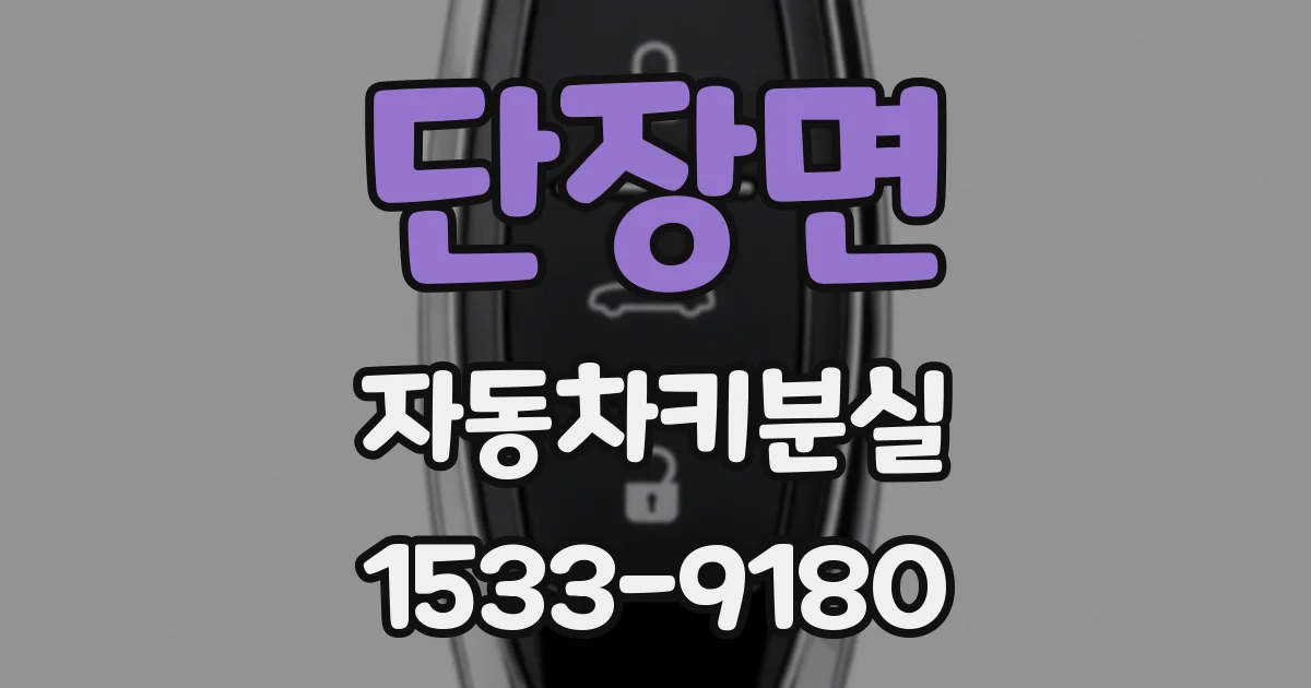 단장면 자동차키분실