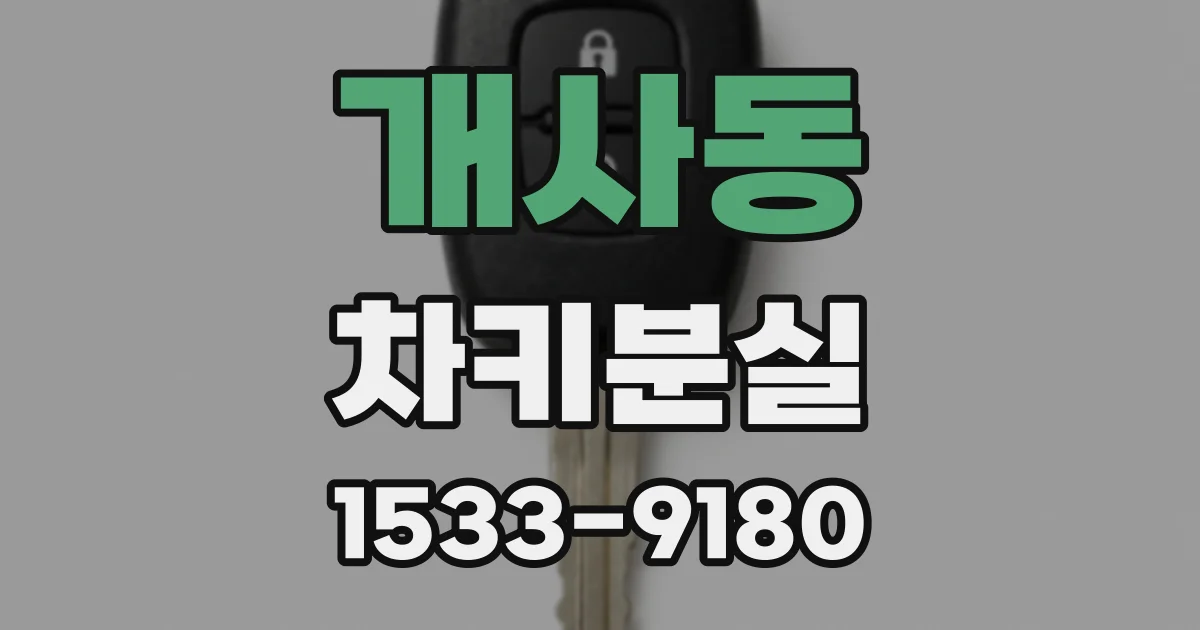 개사동 차키분실