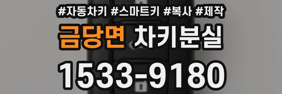 금당면 차키분실
