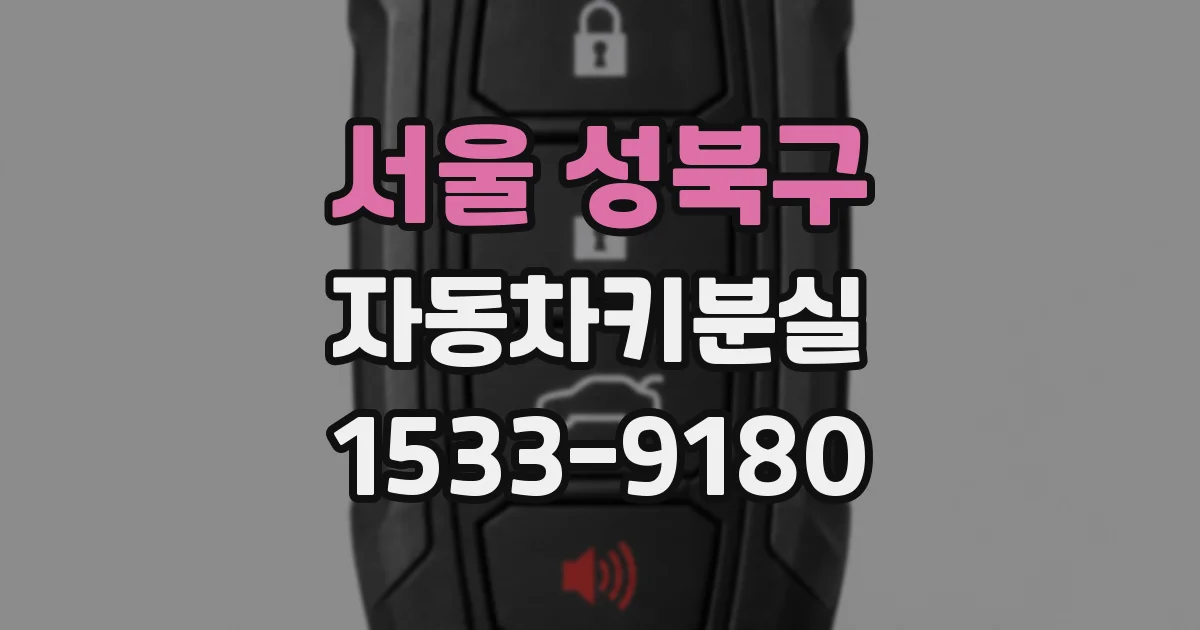 서울 성북구 자동차키분실