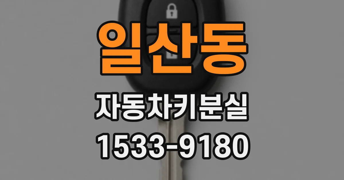 일산동 자동차키분실