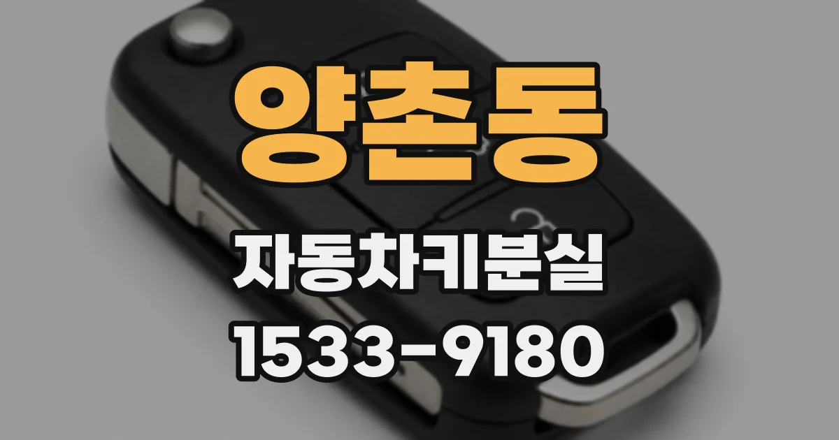 양촌동 자동차키분실