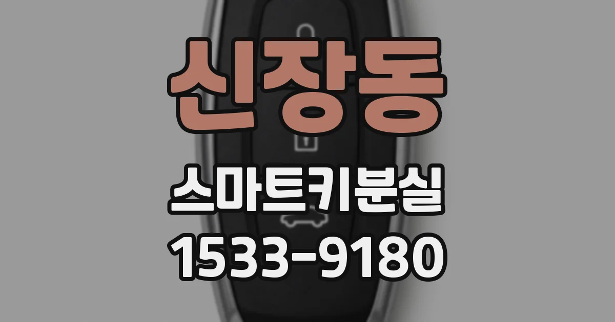 신장동 스마트키분실