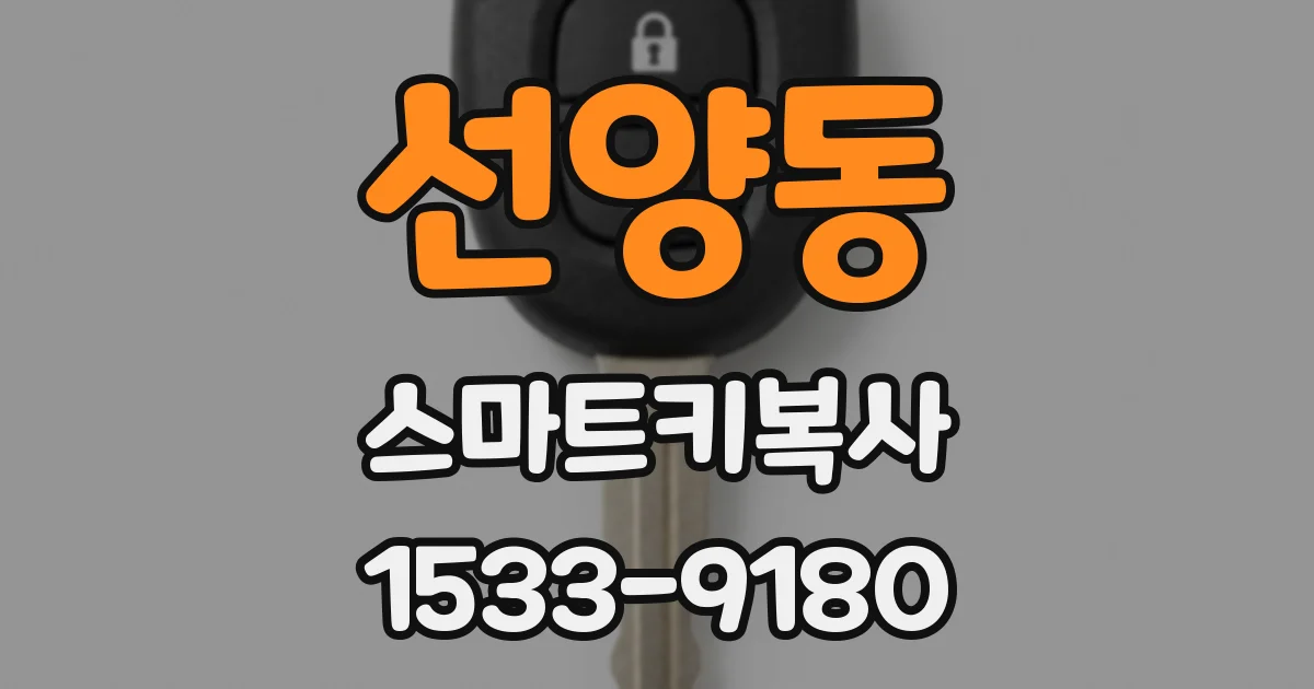 선양동 스마트키복사