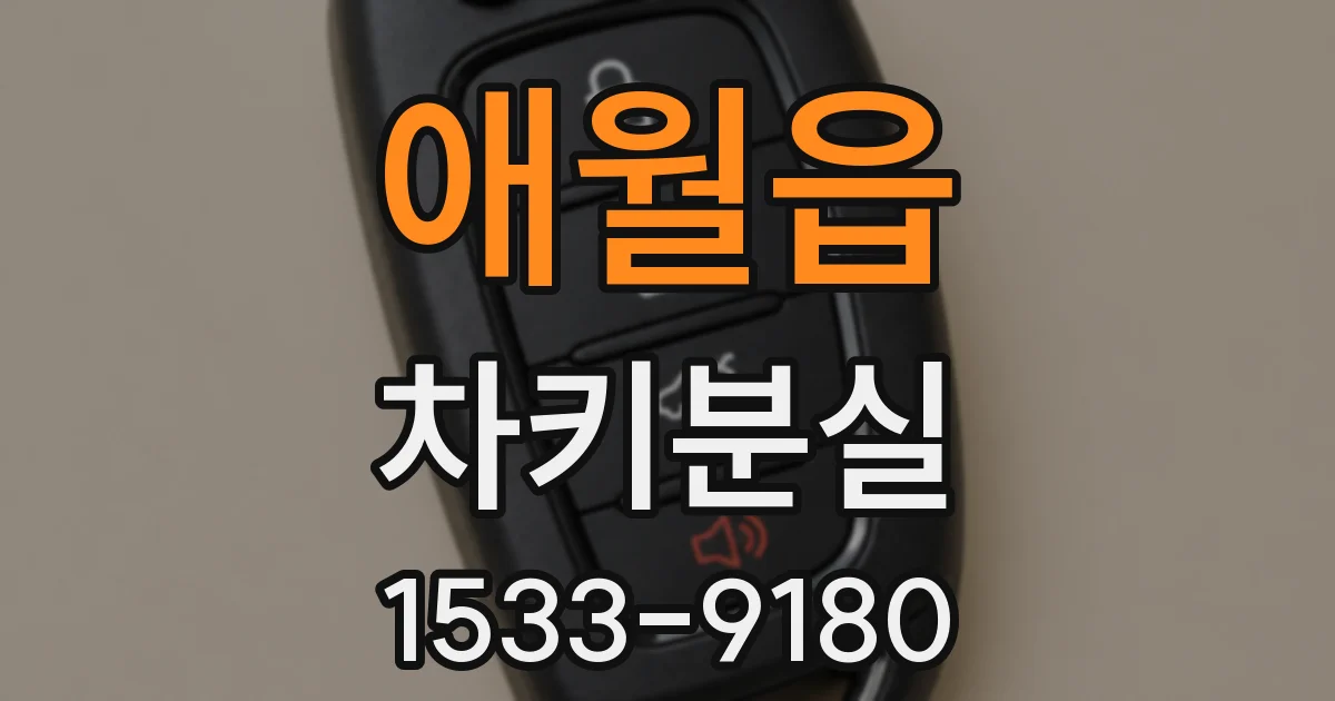 애월읍 차키분실
