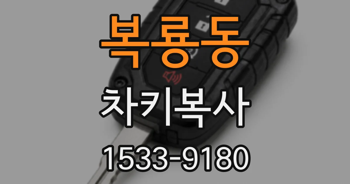 복룡동 차키복사