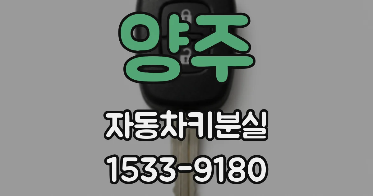 양주 자동차키분실